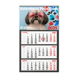 Artboard 61 - Kalendarze trójdzielne.png