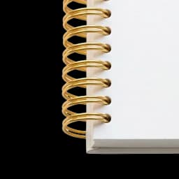 spiral_gold.webp