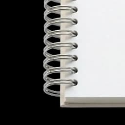 spiral_silver.webp